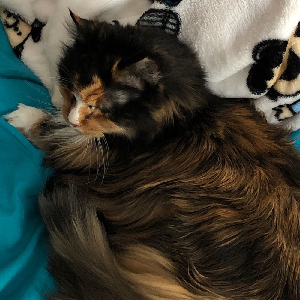 Meet your Posher, Nicole